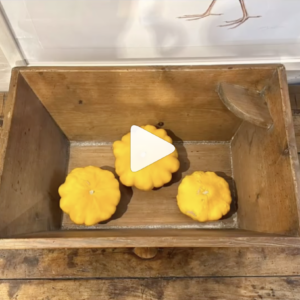 Thank you Rachel and Andrew for the giant squash!